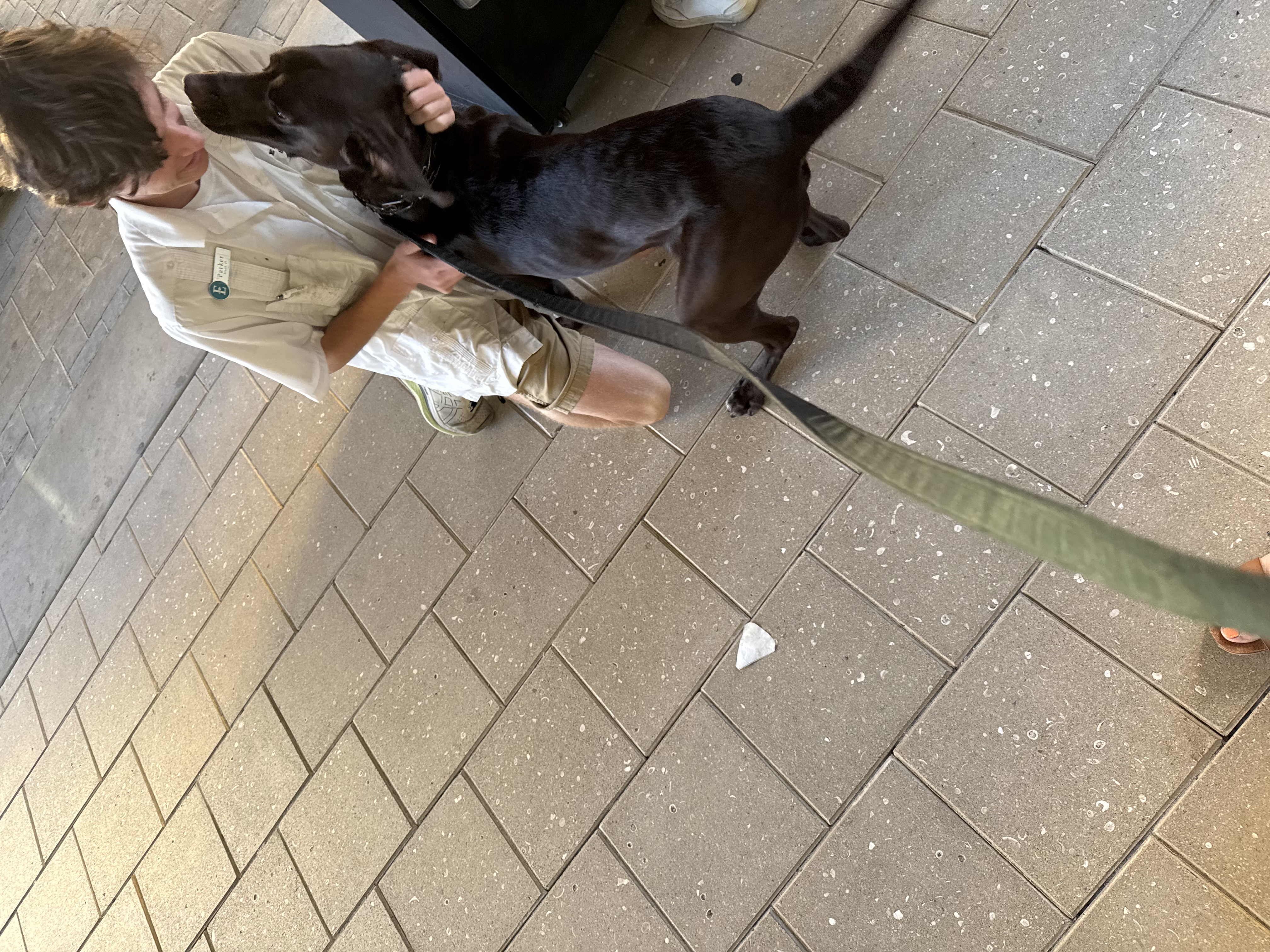 Ansel with the valet