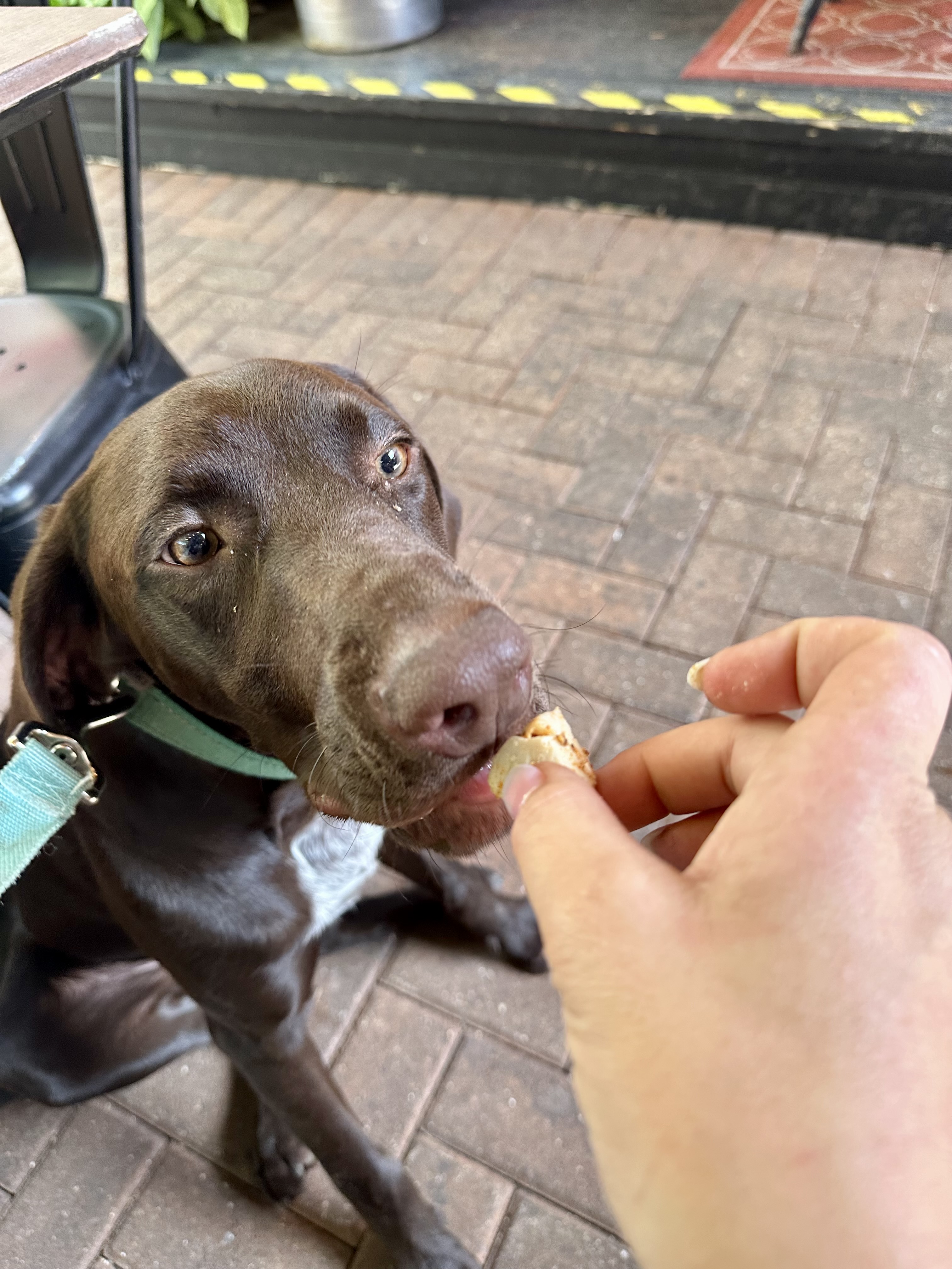 Sharing a snack with Ansel